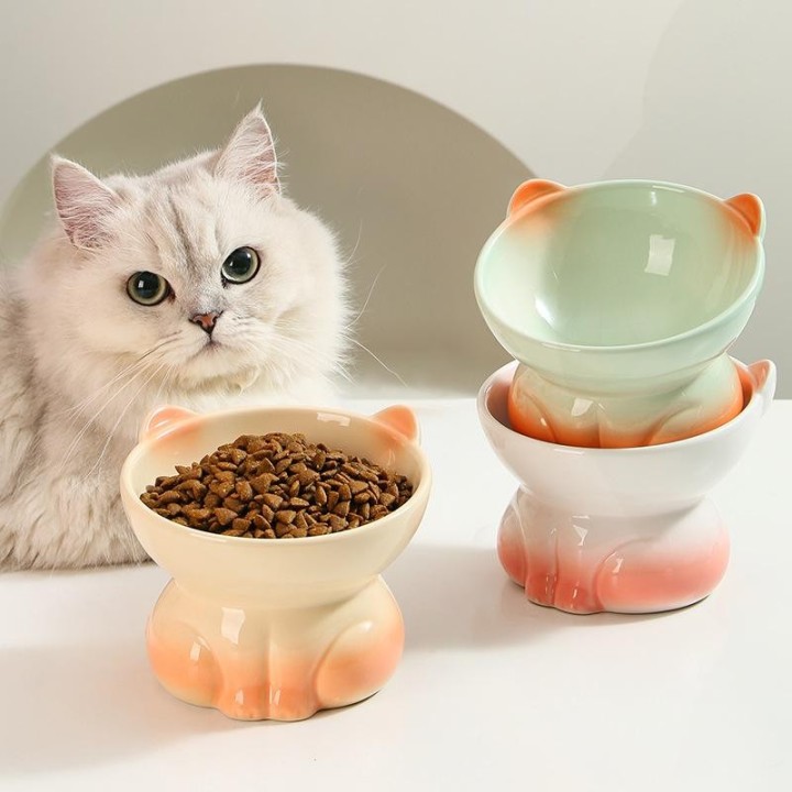 Katzennapf Integrierte Keramik Diagonal Hohe Füße Niedlicher Schutz Halswirbelsäule Hundenapf Trinken Katzennapf Gegen Schwar