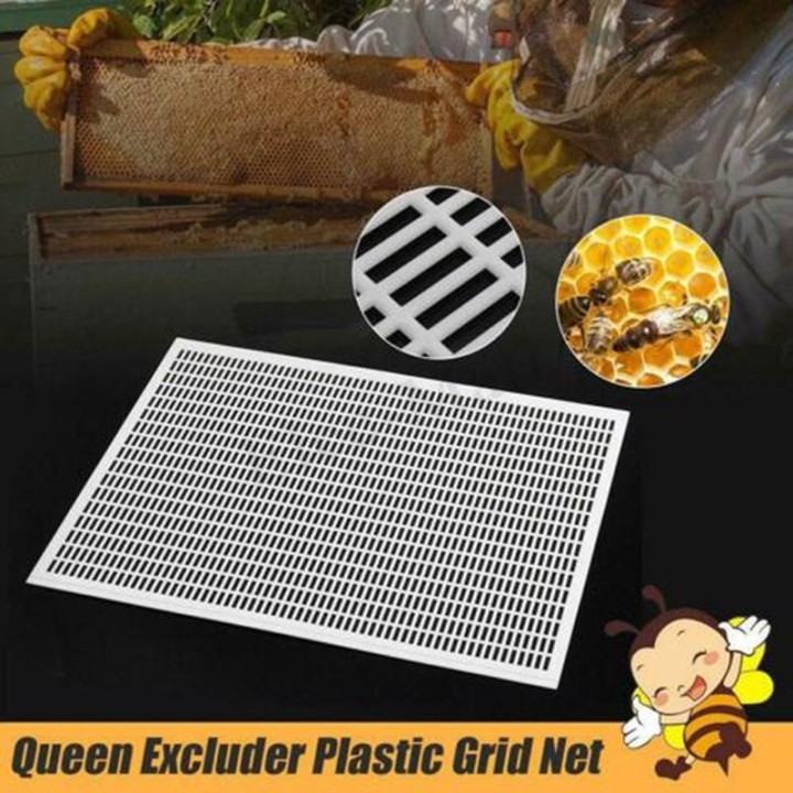 Imkerei Imker Bee Queen Excluder Trapping Grid Net Tool Kits weiß