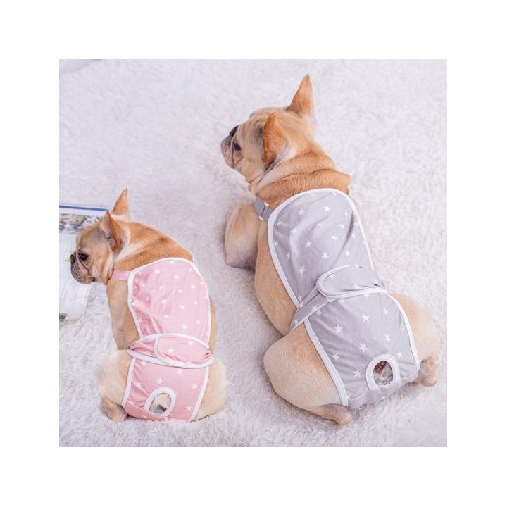 Haustier Kurze Hosen Druck Design Gesundheit Pflege Waschbar Hund Windel Haustier Physiologischen Hosen für M grau