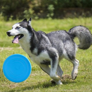 Fliegende Untertasse aus Silikon, lustiges Hunde- und Katzenspielzeug, Haustierspiel, Flugscheiben, widerstandsfähig gegen Ka