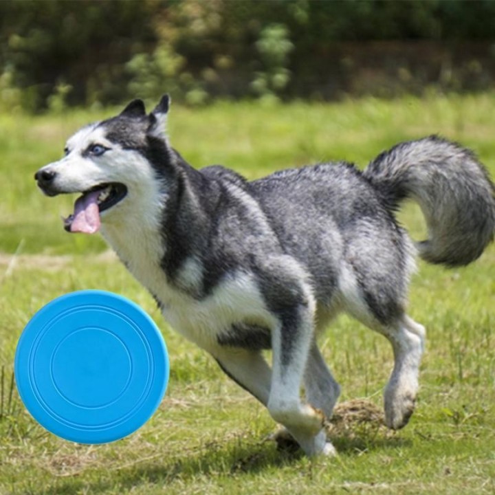 Fliegende Untertasse aus Silikon, lustiges Hunde- und Katzenspielzeug, Haustierspiel, Flugscheiben, widerstandsfähig gegen Ka