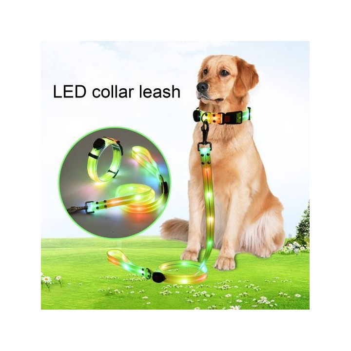 Hundehalsband mit LED-Licht, verstellbare Länge, 3 Lichtmodi, USB wiederaufladbar, umwickeltes Gummi-Gurtband, nachtleuchtend