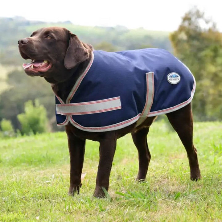 Weatherbeeta Comfitec Essential Dog Coat