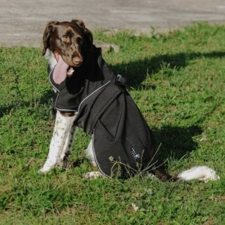 Equithème Softshell Hundedecke