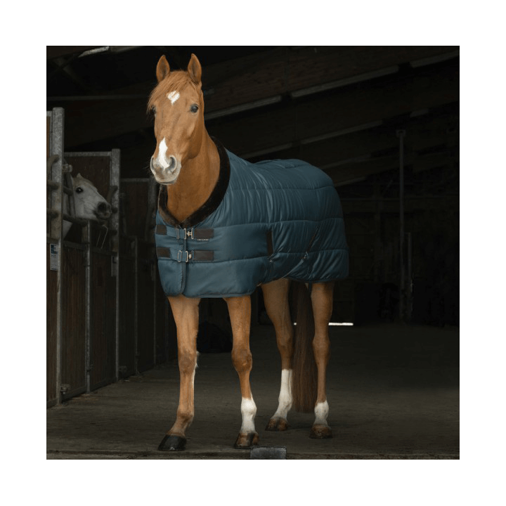 Equithème Teddy Stalldecke 200g