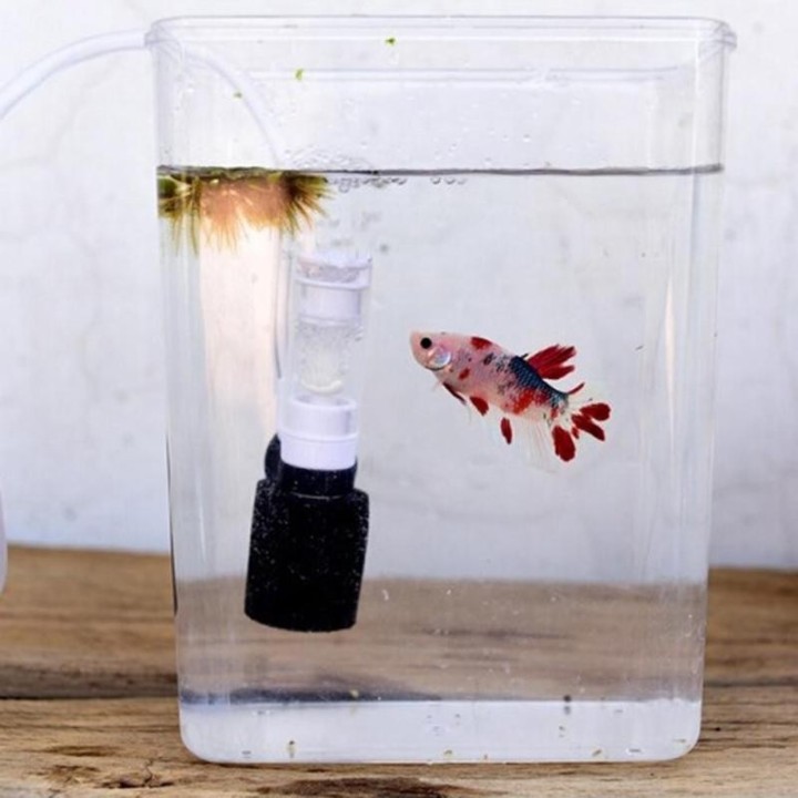 Leiser Mini-Wasser-Pneumatikfilter für Fischschalen-Aquarien