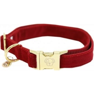 Kentucky Dogwear Hundehalsband "Corduroy" rot - S  (28-40 cm)