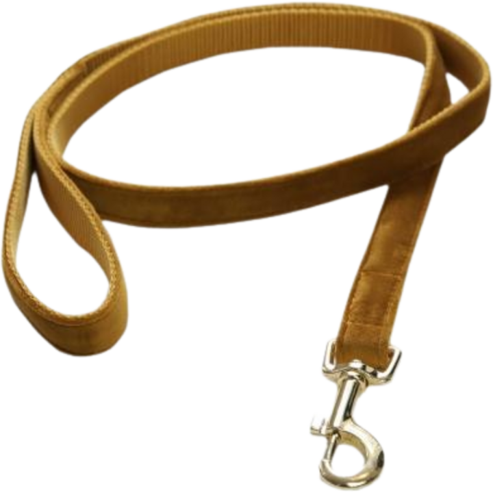 Kentucky Dogwear Hundeleine "Velvet" 120 cm - senfgelb