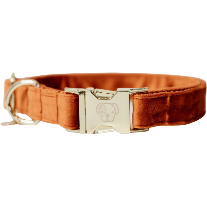 Kentucky Dogwear Hundehalsband "Velvet" orange - XXS (18-26) cm