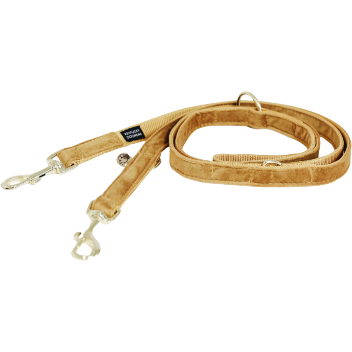 Kentucky Dogwear Hundeleine "Velvet" 200 cm - senfgelb