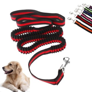 120 cm Hundespaziergang Elastische Bungee-Leine Handfreie Hundeleinen mit Griff Welpenhalsband Outdoor Haustier Sicheres Lauf