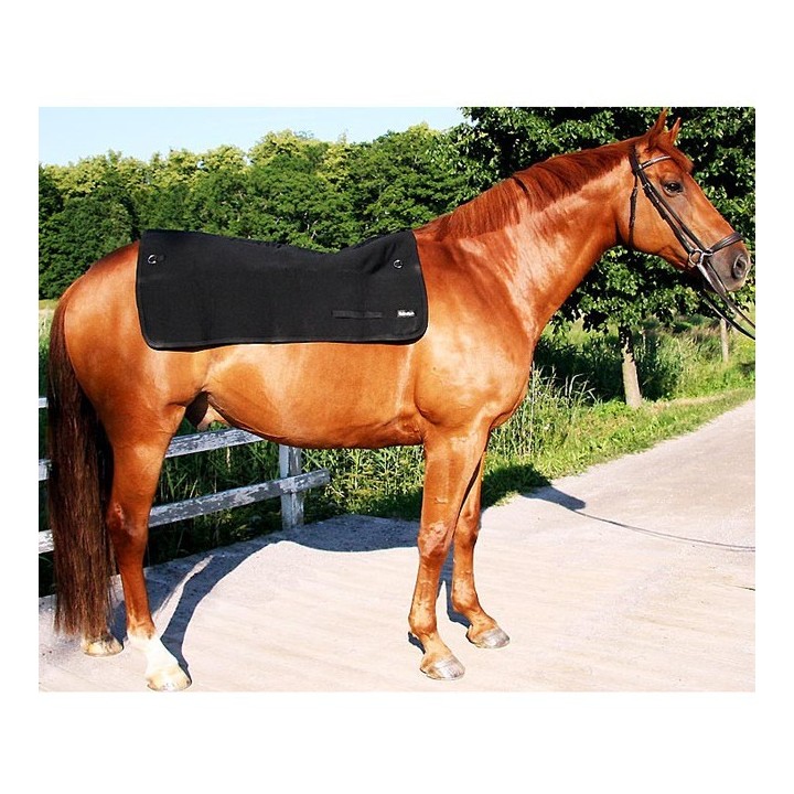 Back on Track Rückenwärmer