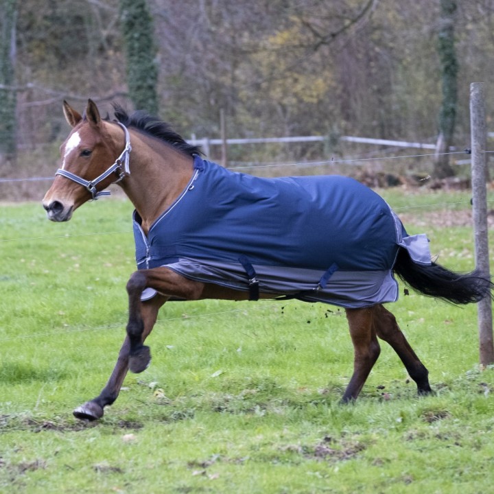 Equithème Tyrex 600D Aisance 50g - marineblau/grau