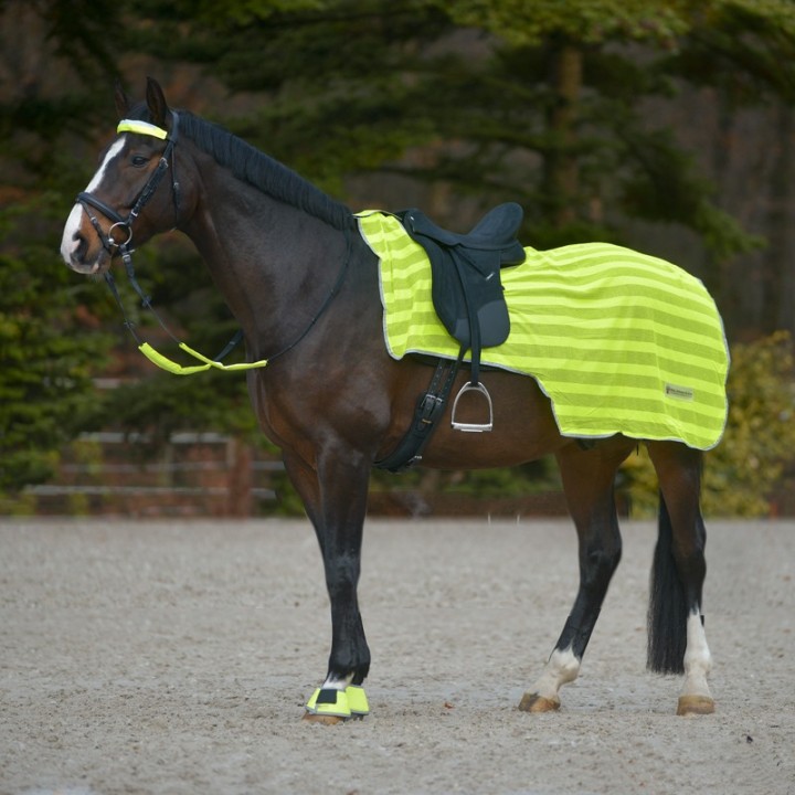 Waldhausen Reflex Nierendecke mit Leuchtstreifen