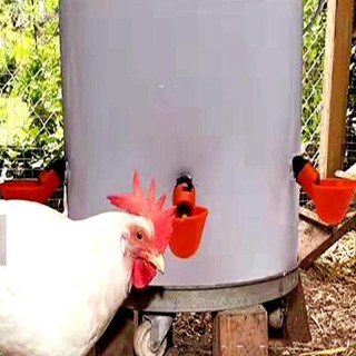10 Stücke Huhn Vogel Henne Wasser Trinkbecher Auto Geflügel Trinker Feeder Nippel 77*50*38mm rot