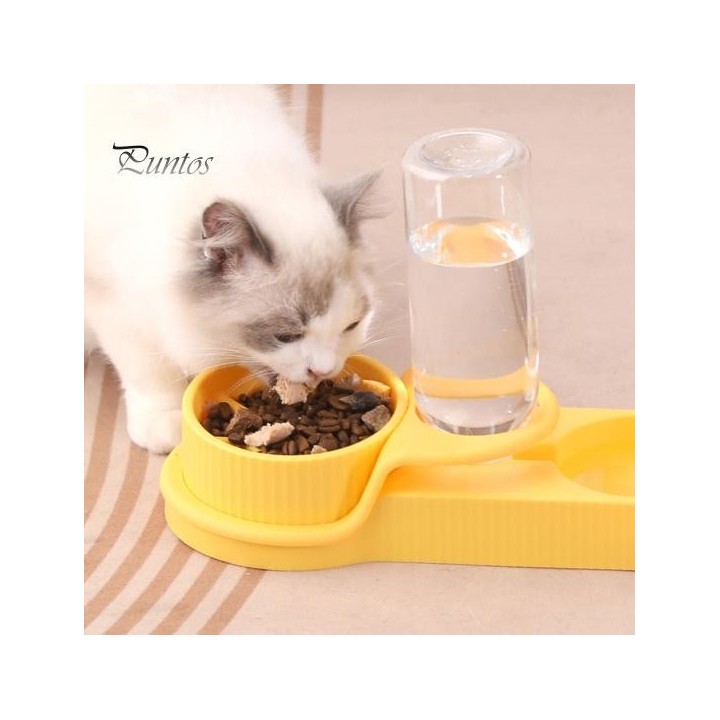 Automatischer Futterspender für Haustiere, Wasserspender, Doppelnapfständer, auslaufsicher, transparentes Wasservolumen, ruts