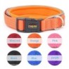 Hochwertiges Nylonmaterial, weich und bequem, reflektierende Streifen, Haustierhalsband, kleine und mittelgroße Hundeleine S