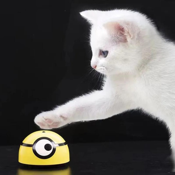 Intelligentes Fluchtspielzeug Katze Hund Automatischer Spaziergang Interaktives Spielzeug für Kinder Haustiere Infrarotsensor