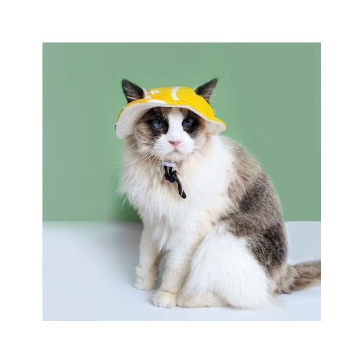 Haustiermütze mit Ohrlöchern, weicher, atmungsaktiver Katzenhut mit verstellbarem Riemen für den Sommer im Freien M gelb