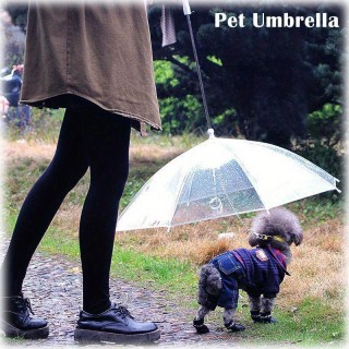 Neuer transparenter Haustier-Regenschirm für Hundewelpen, geeignet für regnerische und verschneite Tage transparent