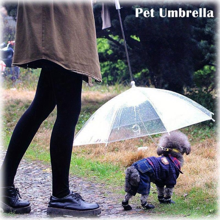 Neuer transparenter Haustier-Regenschirm für Hundewelpen, geeignet für regnerische und verschneite Tage transparent