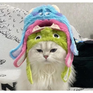 Katze, süßer Cartoon, dekorative, lustige Katzenkopfbedeckung, Katzen-/Hundehut, Kopfbedeckung, Haustier, süßes, lustiges Art