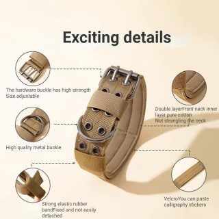 Hundehalsband, Hundegeschirr und Leine mit Innenschicht, reine Baumwolle, Doppelnadelschnalle aus Metall für Atmungsaktivität