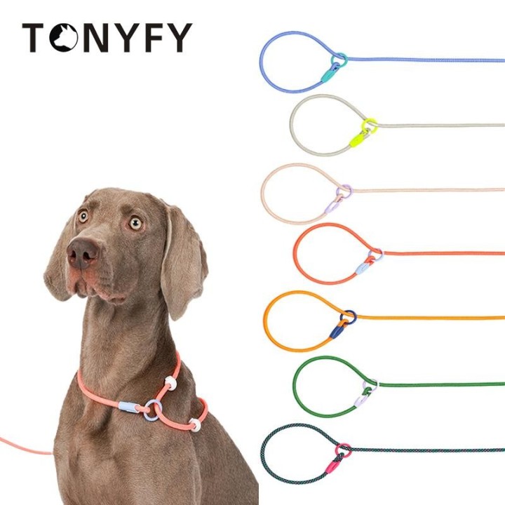 150 cm leichtes Nylon-Hundeleine aus Rundseil, P-Kettenhalsband, verstellbar für kleine und mittelgroße Hunde, Trainingsleine