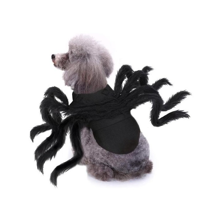 Halloween-Kostüm für Haustiere, süße Spinnenbeine, Haustierbekleidung, einzigartiges Verkleidungszubehör für Welpen und Katze