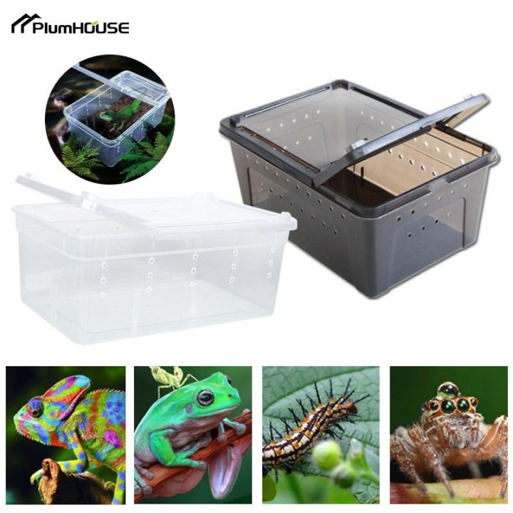 1 stück Terrarium für Reptilien Spinne Transparent Kunststoff Fütterung Box Insekten Eidechse Käfer Transport Zucht Lebensmit