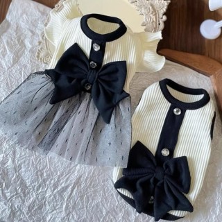 Hunde-Prinzessinnenkleid, Sommer-Hundekleidung für kleine Hunde, Haustier-T-Shirt, schwarze Spitze, Retro-Welpenrock, Chihuah