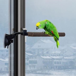 Vogelsitzstange für Sittiche und Aras – Stabiles Trainingsgerät Style B