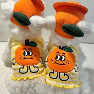 Keine Mütze, Frühlingsweste für kleine Hunde, Pommersche Cartoon-Kleidung, Schnauzer, weicher Pullover, Pudel, zwei Beine, We