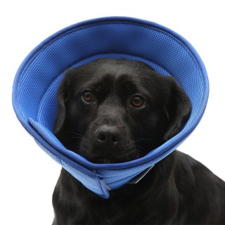 Kegel Schützende Wunde Einstellbare Anti Biss Lecken Bequem Hund Small 23-27cm