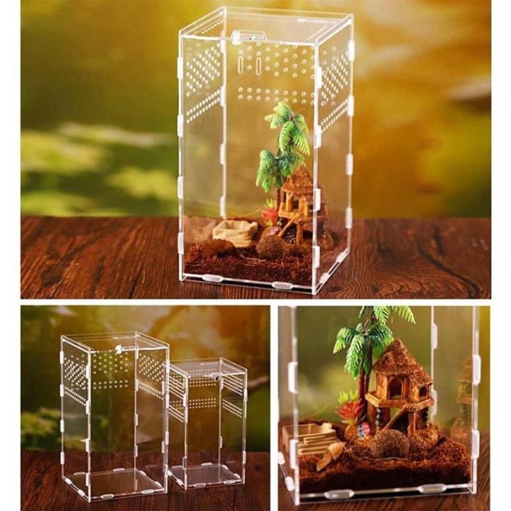 Acryl Reptil Zucht Box Transparent Terrarium Lebensraum Insekten Spinne Eidechse Skorpion Fütterung Käfig Baumartigen Gehäuse