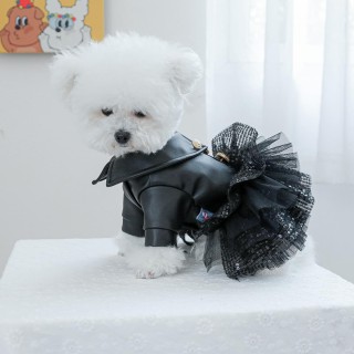 Herbst Punk Pailletten Leder Hundekleidung Prinzessin Haustierkleid weniger Hundekleid für kleine bis mittelgroße Hunde Chihu