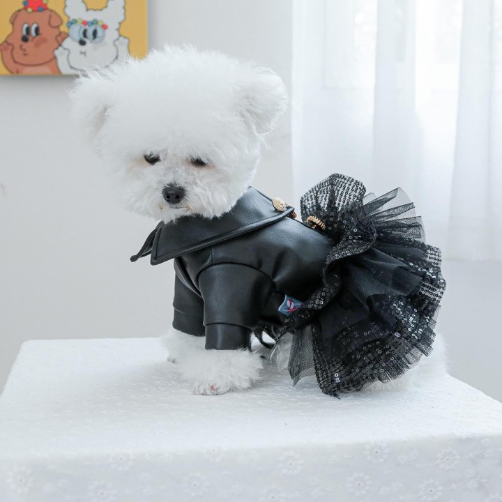 Herbst Punk Pailletten Leder Hundekleidung Prinzessin Haustierkleid weniger Hundekleid für kleine bis mittelgroße Hunde Chihu