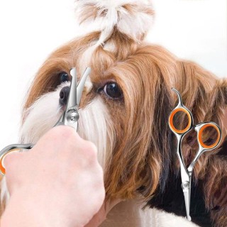 Edelstahl-Katzenpflegeschere, professionelle Hundehaarschere, Reinigung orange