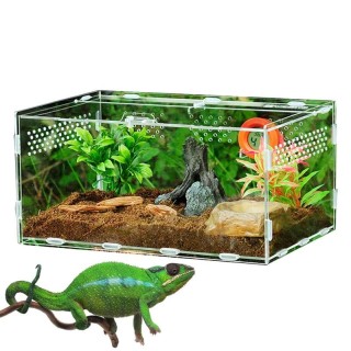 Reptilien-Zuchtbox, Acryl-Terrarium, Fütterungsbox, transparent, für Tiere, Reptilien, Haustiere, Insekten, Spinnen, Eidechse