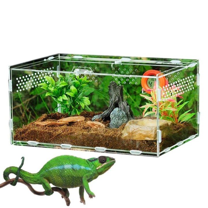 Reptilien-Zuchtbox, Acryl-Terrarium, Fütterungsbox, transparent, für Tiere, Reptilien, Haustiere, Insekten, Spinnen, Eidechse