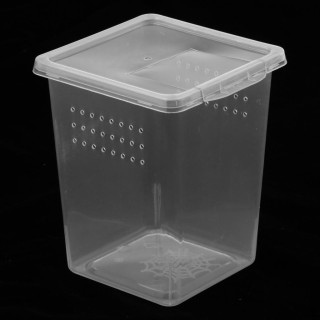 Kunststoff Insekten Schildkröte Schlange Spinne Lebensraum Fütterung Box Fall Container WIEDERVERWENDBAR 3x3x4 zoll