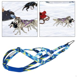 Hundeschlittengeschirr, Bikejöring ziehen, professionelles Geschwindigkeitstraining Schlittenfahren Blue Medium