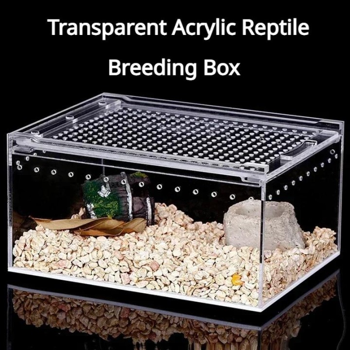 Futterbox für Reptilienhabitate, auslaufsicherer Käfig aus klarem Acryl, Futterbox für Insektenhabitate für Spinnen, Eidechse