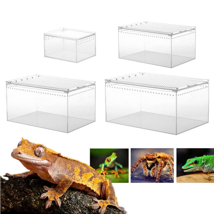 Acryl Reptil Zucht Box Transparent Spinne Eidechse Raupen Schnecke Acryl Montiert Insekten Atmungsaktive Terrarium