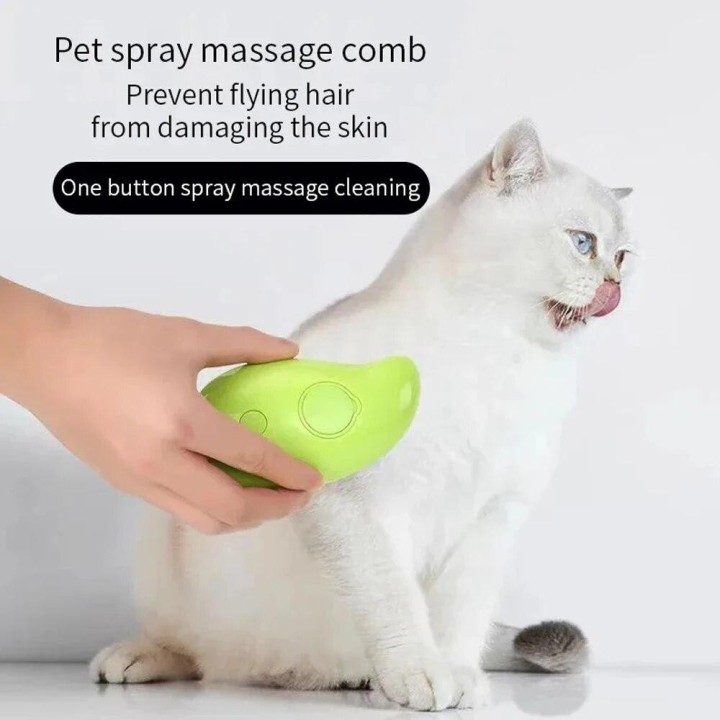 Dampfbürste, Hundemassagekamm, integriertes elektrisches Spray, weiche Silikon-Tierhaarentfernung, Schönheitsbürste für Haust