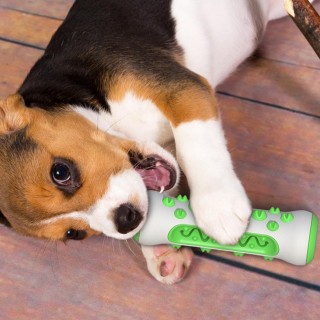 Großes Hundespielzeug, interaktive Zahnbürste, Backenzahnstab für kleine große Hunde, Zahnreinigung, Kauspielzeug, Labrador,