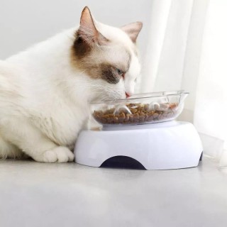 Futternapf für Hunde und Katzen, rutschfest, transparent, Slow Food, Einzel-Futternapf für Haustiere, Wassernapf, Nackenschut