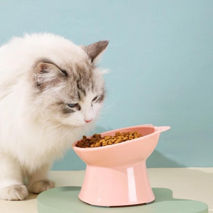 Hoher Katzennapf, geneigter Cartoon-Nackenschutz, umstoßsicherer Kunststoff, erhöht, um zervikale Spondylose bei Haustieren z