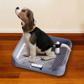 Hundetoilette, bequem, mit abnehmbarem Pfostenhalter für das Training mit Haustieren graue