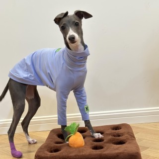 Weiches blaues Baumwoll-T-Shirt für Huibit-Hundekleidung, elastischer Frühlings- und Herbstmantel für Bedlington Little Greyh